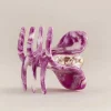 Mini Claw Marbled Orchid